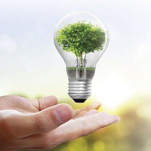 Đèn led bulb công suất cao Duhal có tiết kiệm điện không